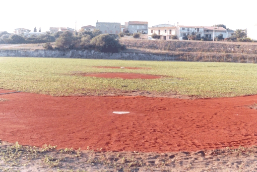 Campo di Olmedo
